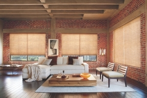 Woven wood blinds in denver living room