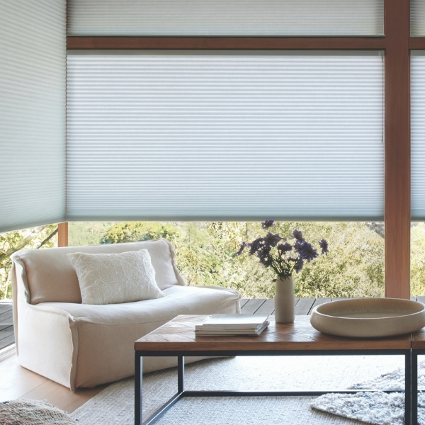 Honeycomb Window Blinds in Colorado Apartment Living Room