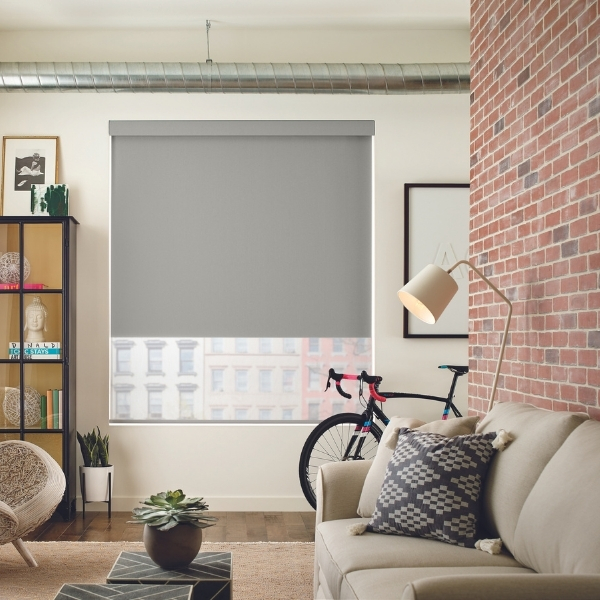 Roller Window Blinds in Colorado Apartment Living Room